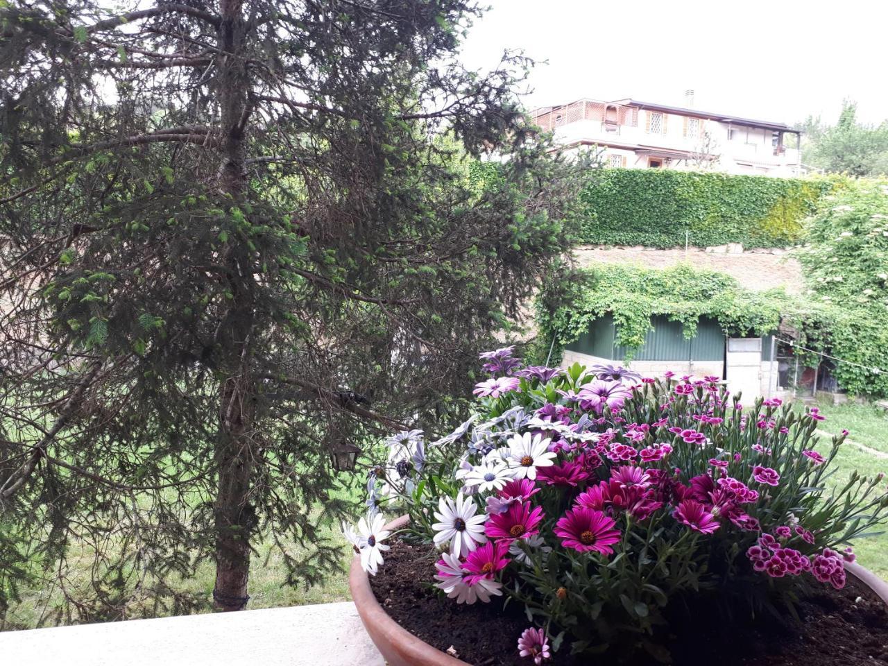 B&B Papa Leone Countryrooms Rome Extérieur photo
