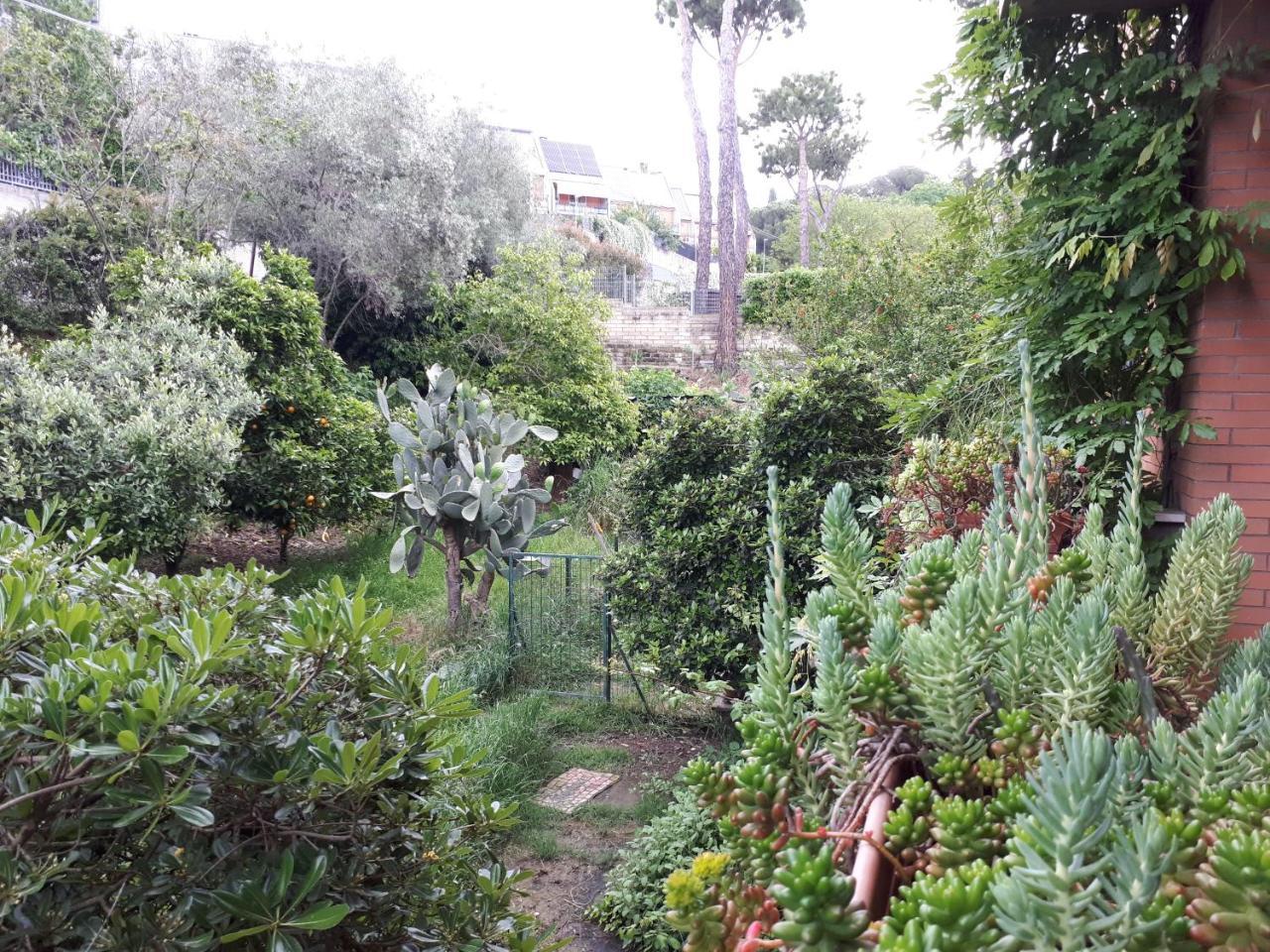 B&B Papa Leone Countryrooms Rome Extérieur photo